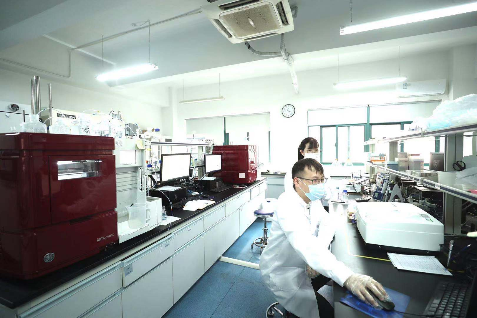 我们的价值观